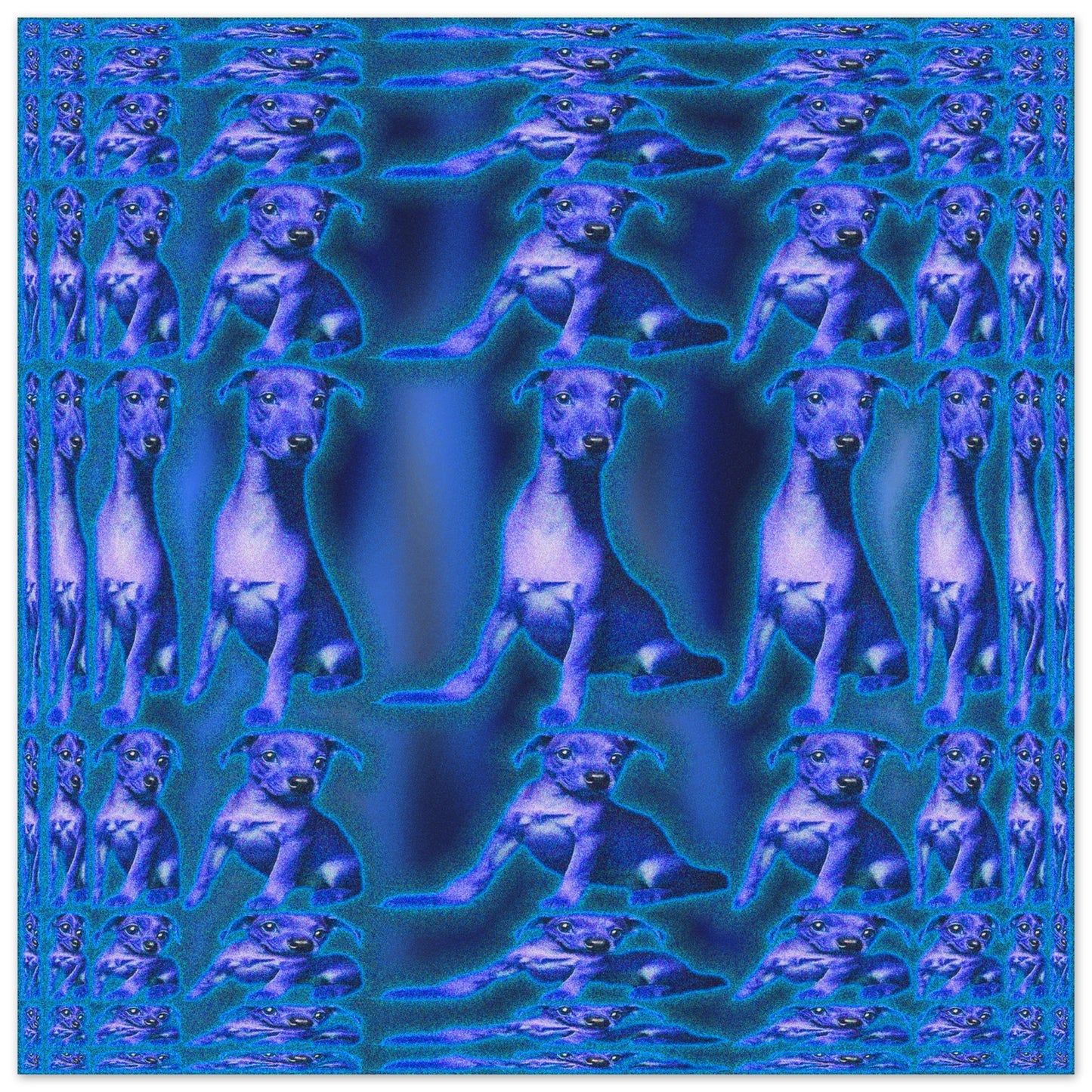 0065d28d-f1e3-4223-9a13-6e1e834d4493